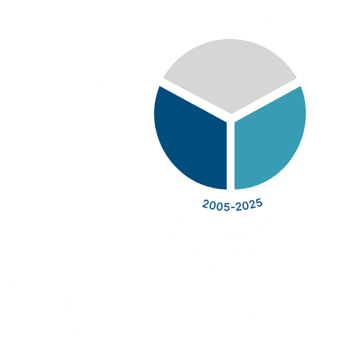 20 year logo